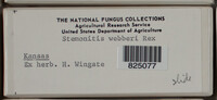 Image Associated With the Occurence